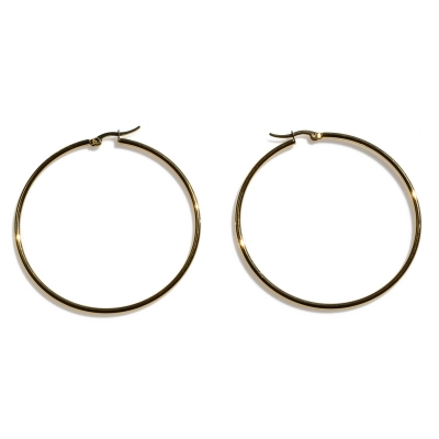 Earrings stainless steel hoops in gold color BZ-ER-00671