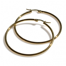 Earrings stainless steel hoops in gold color BZ-ER-00668 image 3