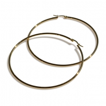 Earrings stainless steel hoops in gold color BZ-ER-00677 image 3